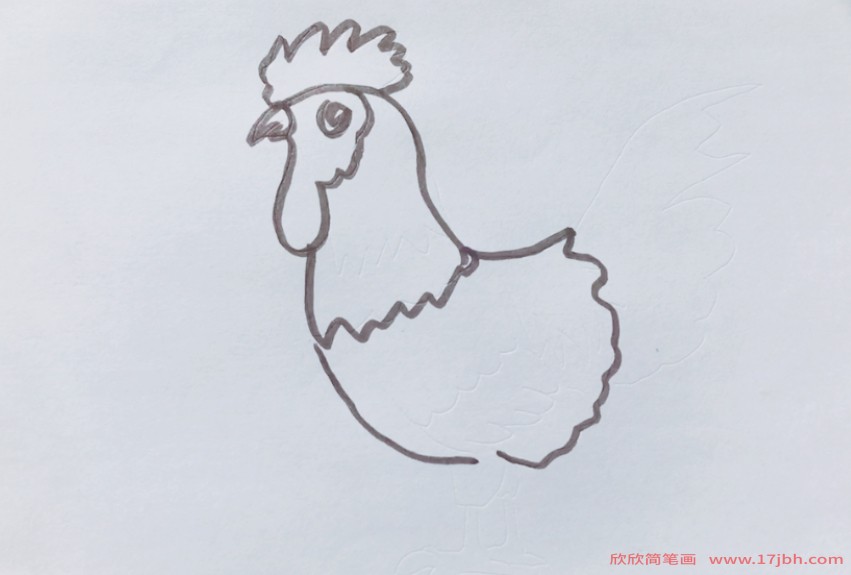 画鸡的图片简笔画