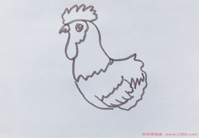 画鸡的图片简笔画