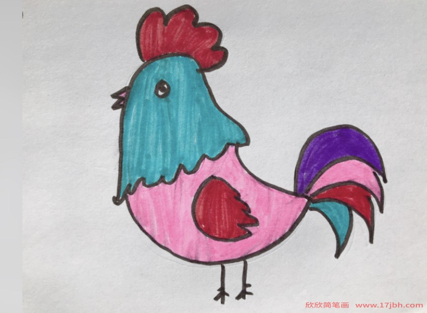 简笔画鸡