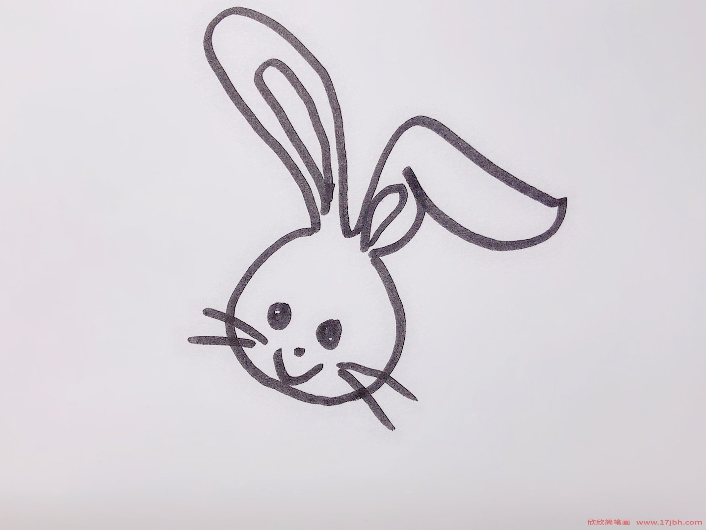 兔子画法简笔画