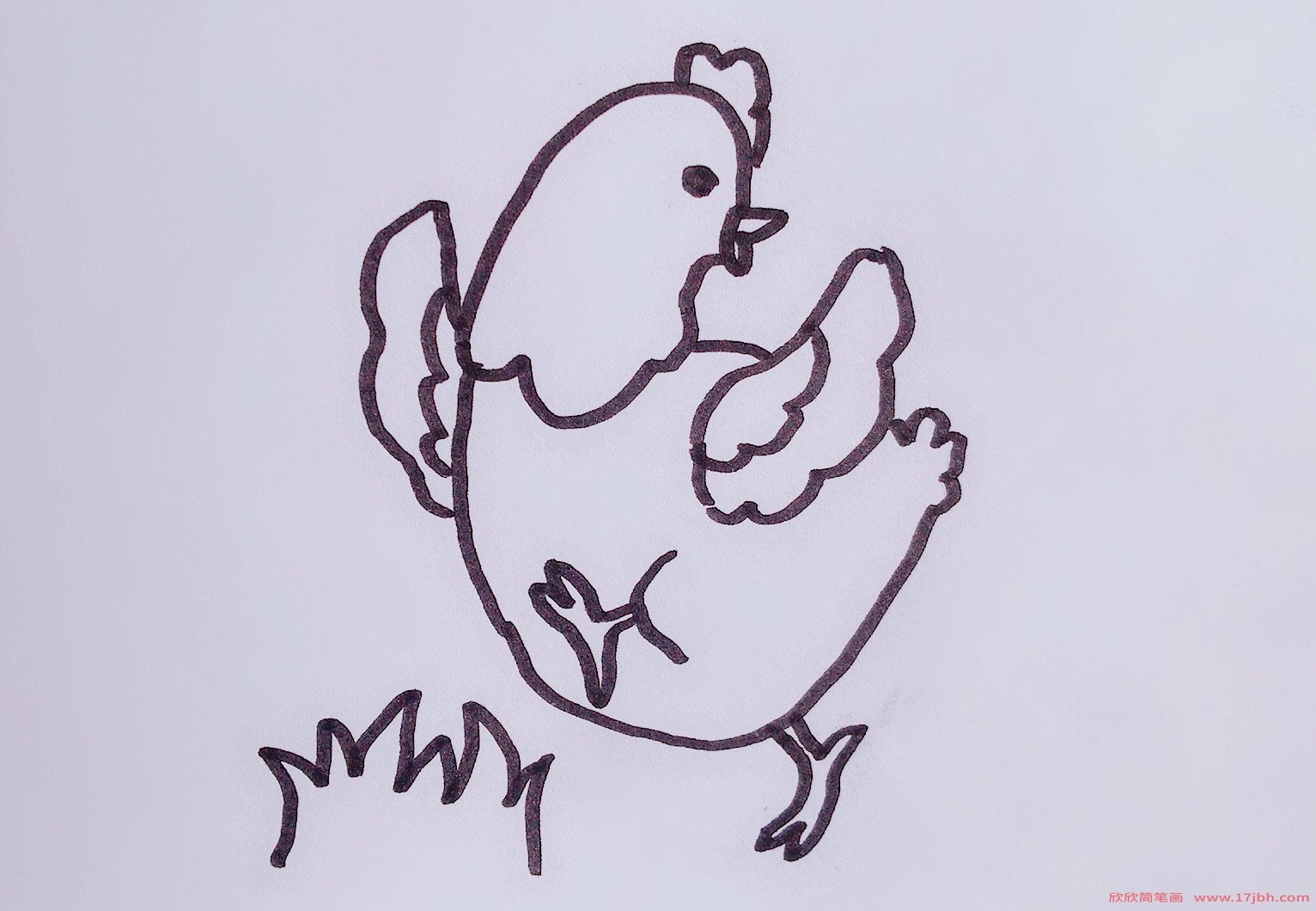 母鸡的简笔画