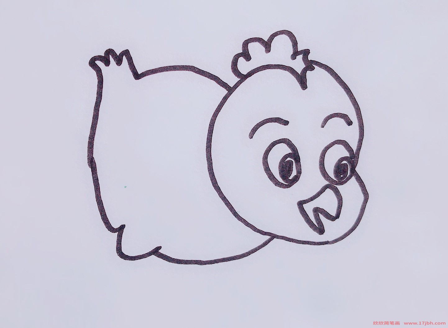 简笔画小鸡的画法