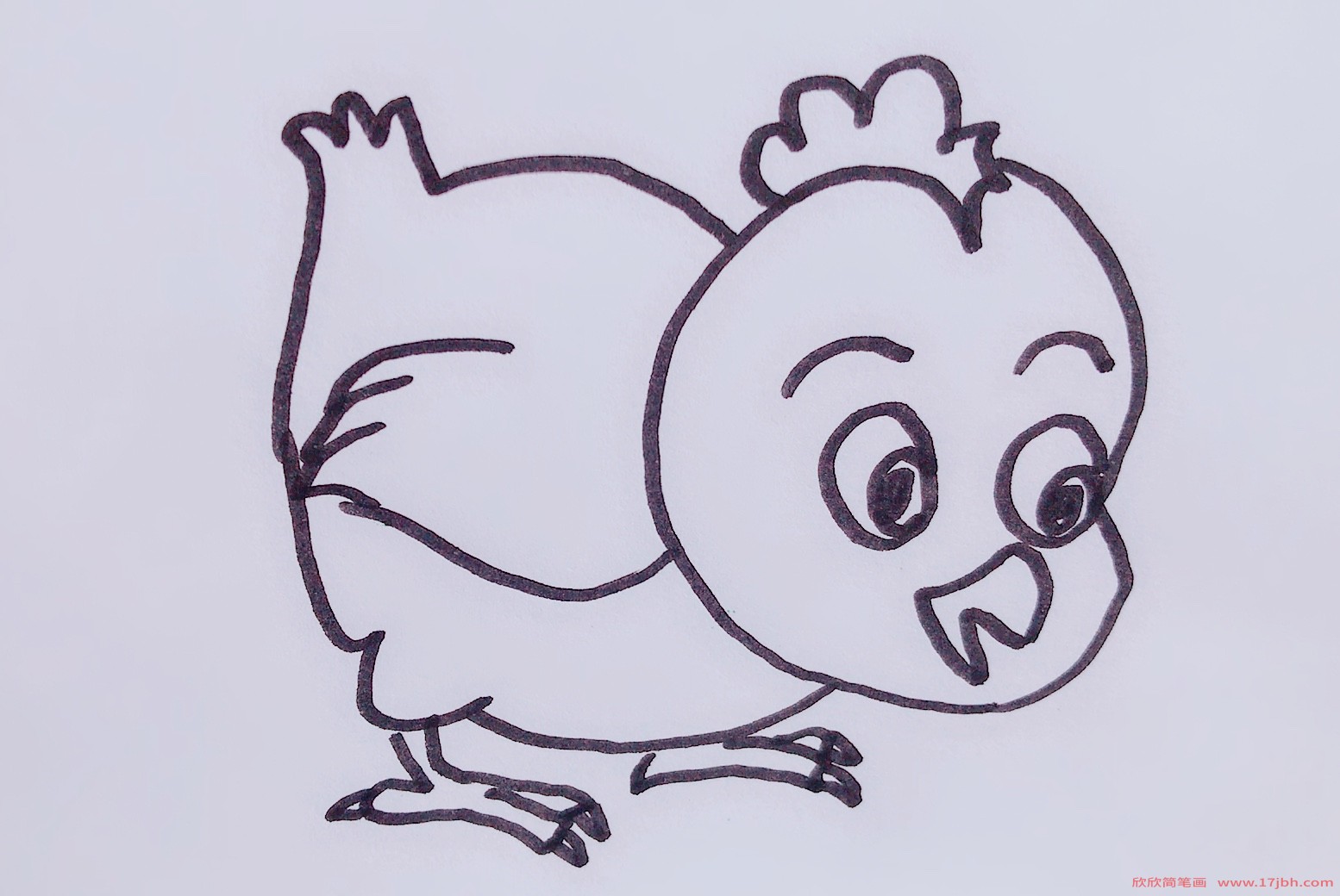 简笔画小鸡的画法