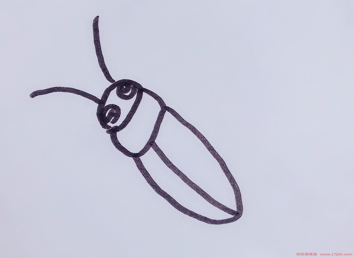 蟋蟀怎么画简笔画