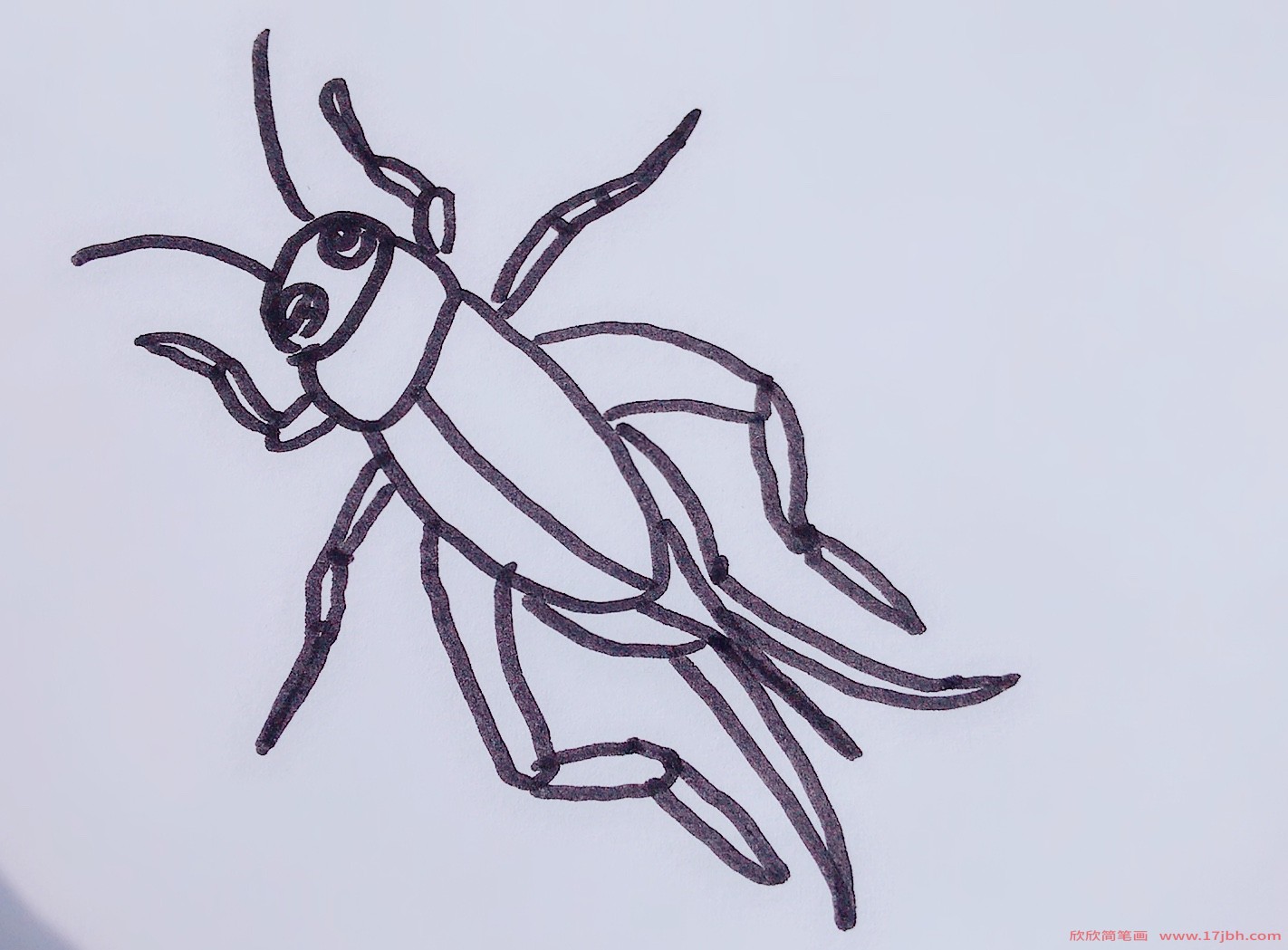 蟋蟀怎么画简笔画