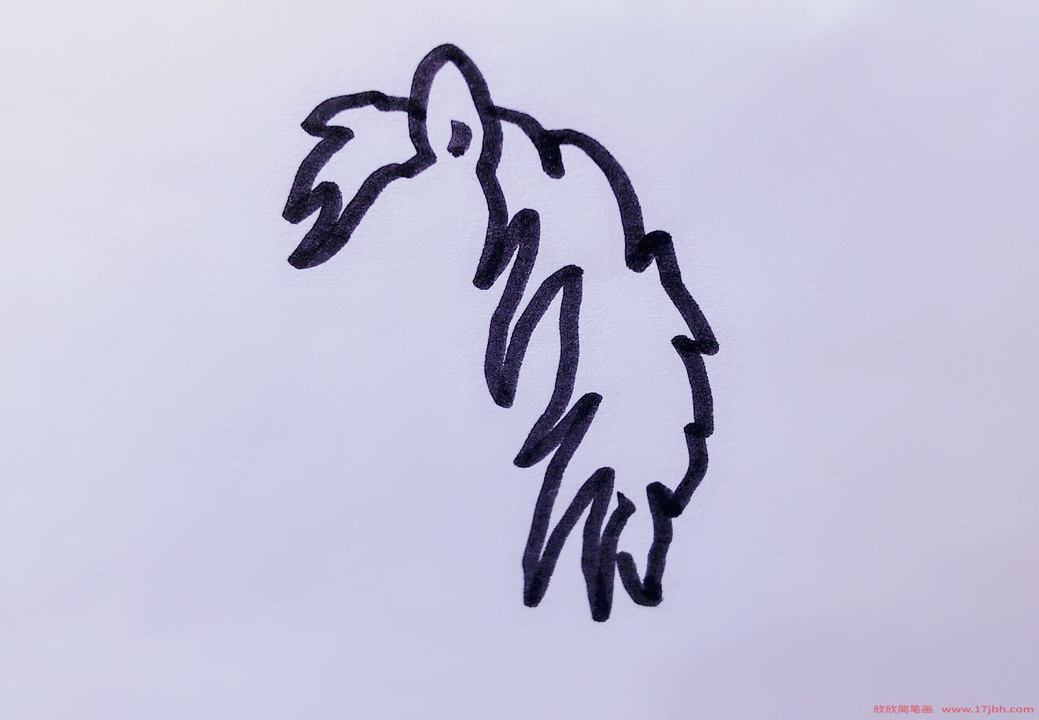 简笔画小马的画法