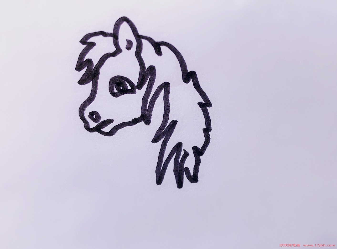 简笔画小马的画法
