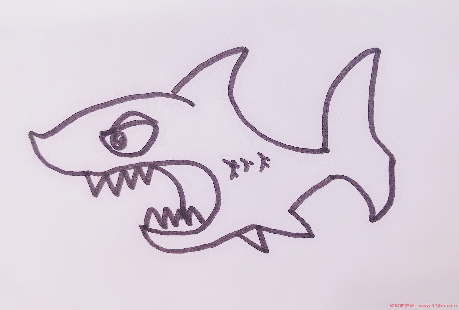 简笔画鲨鱼