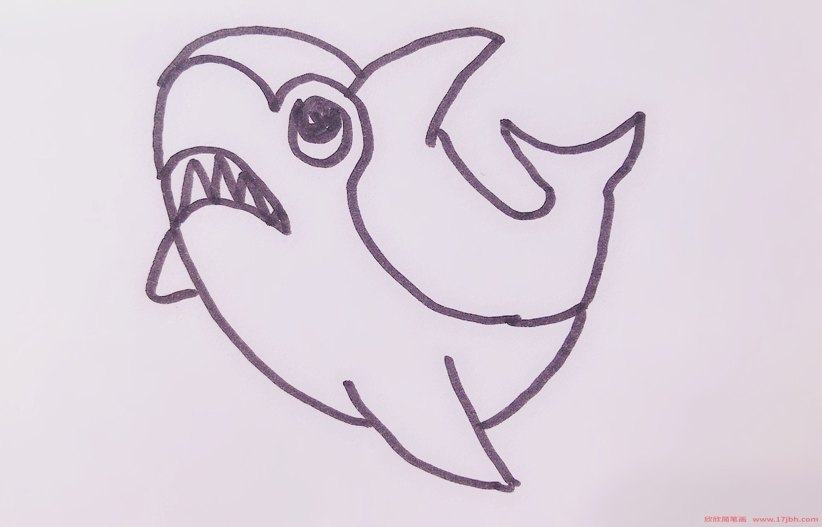 大鲨鱼图片简笔画
