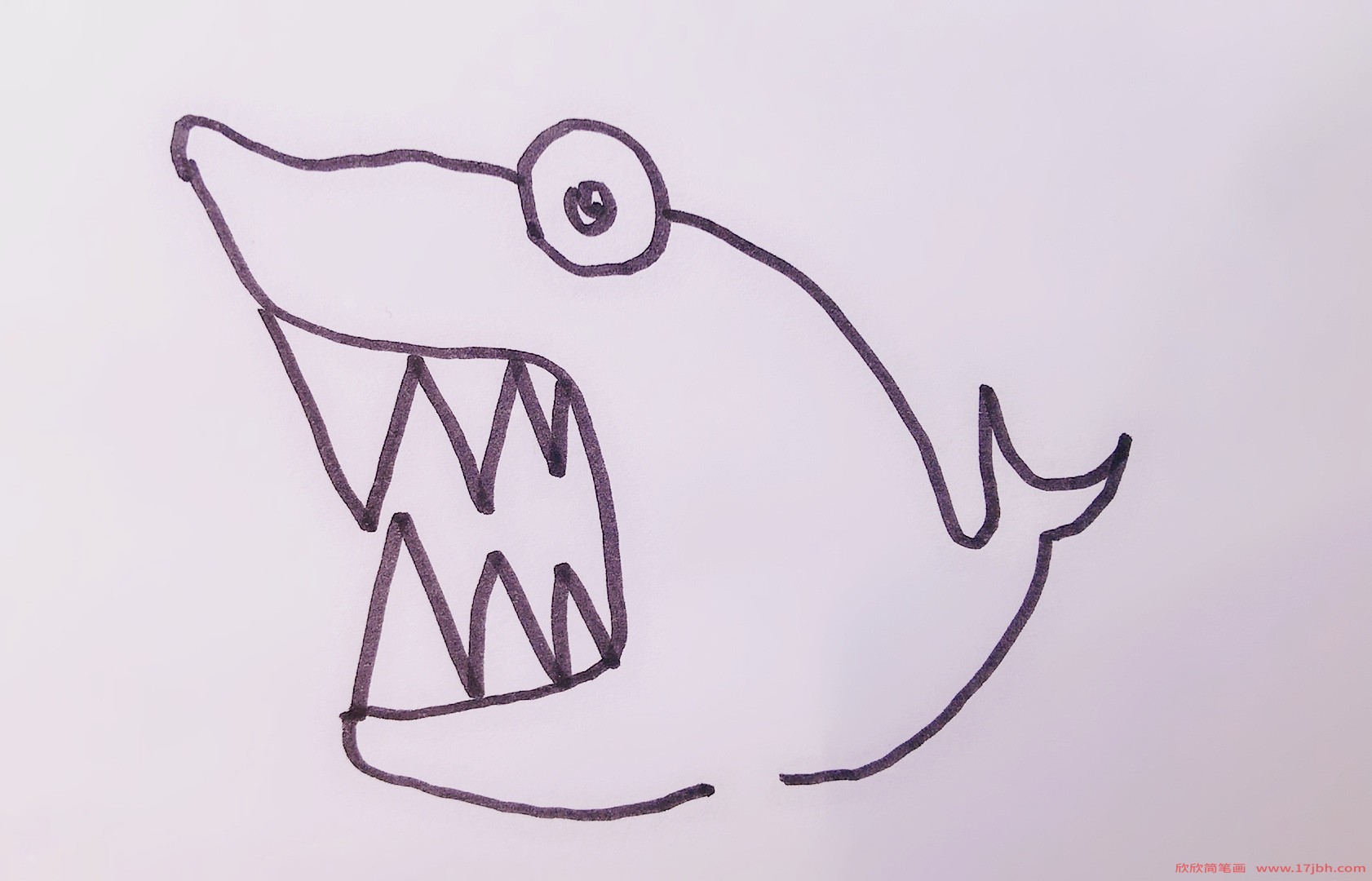 鲨鱼的画法简笔画图片