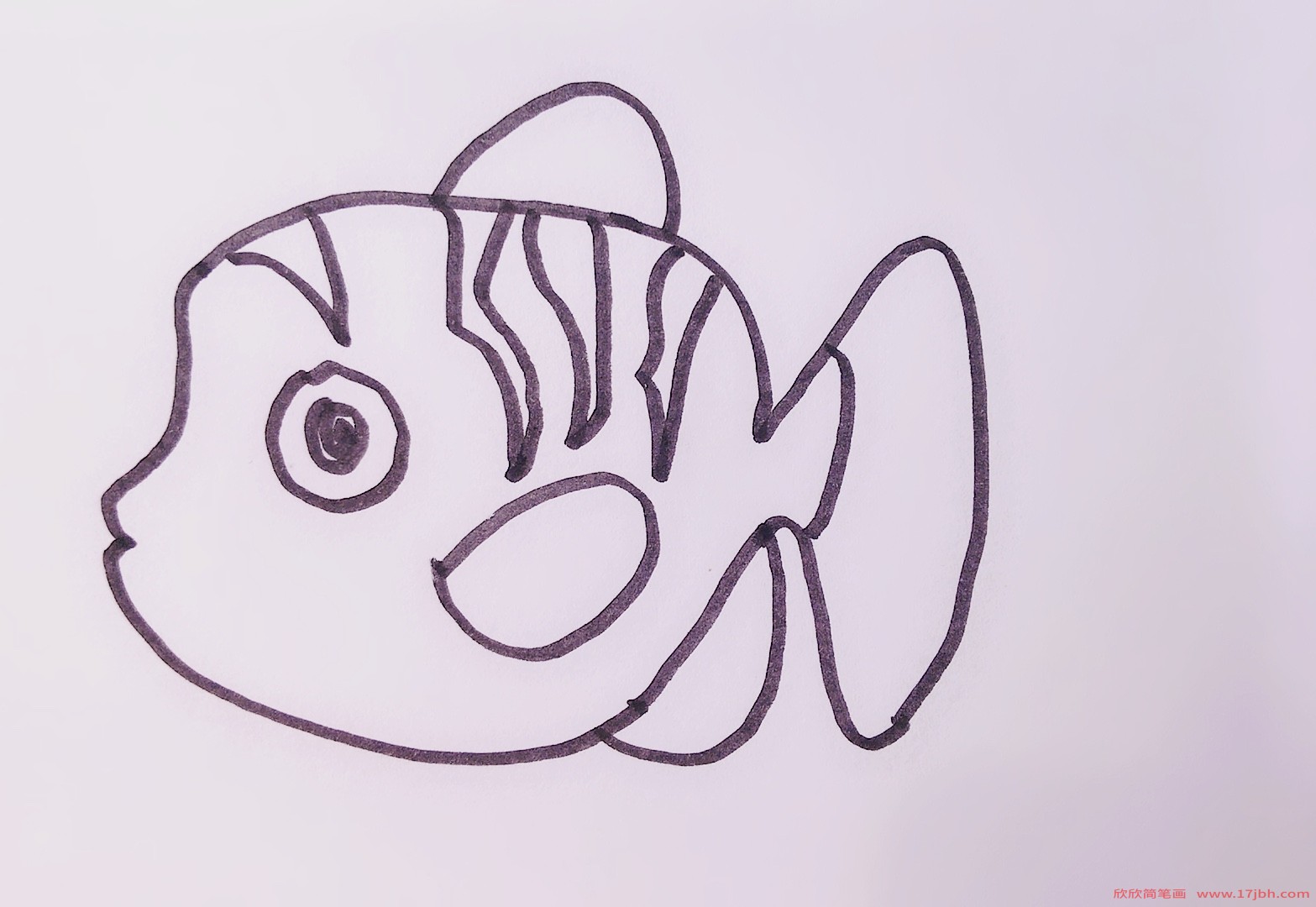 小丑鱼的简笔画