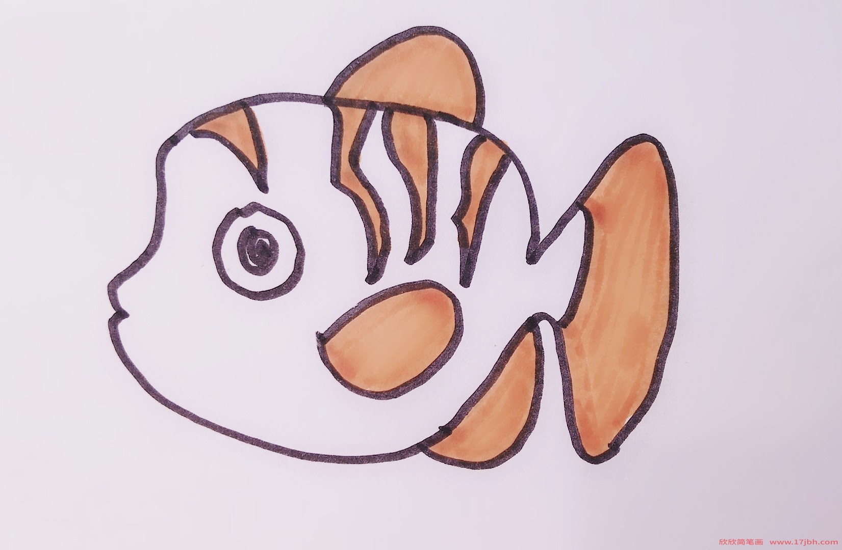 小丑鱼的简笔画