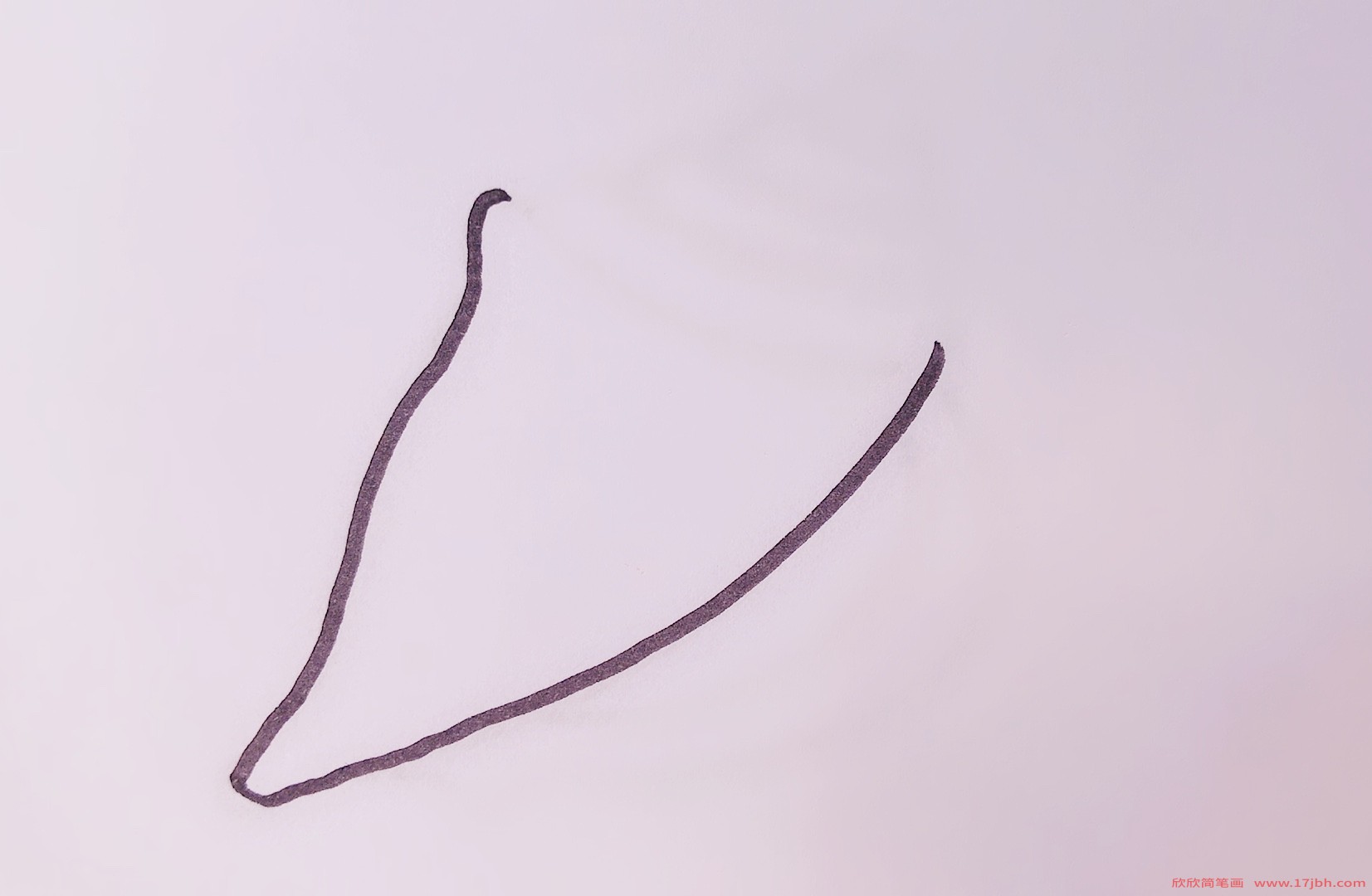 海螺的简笔画
