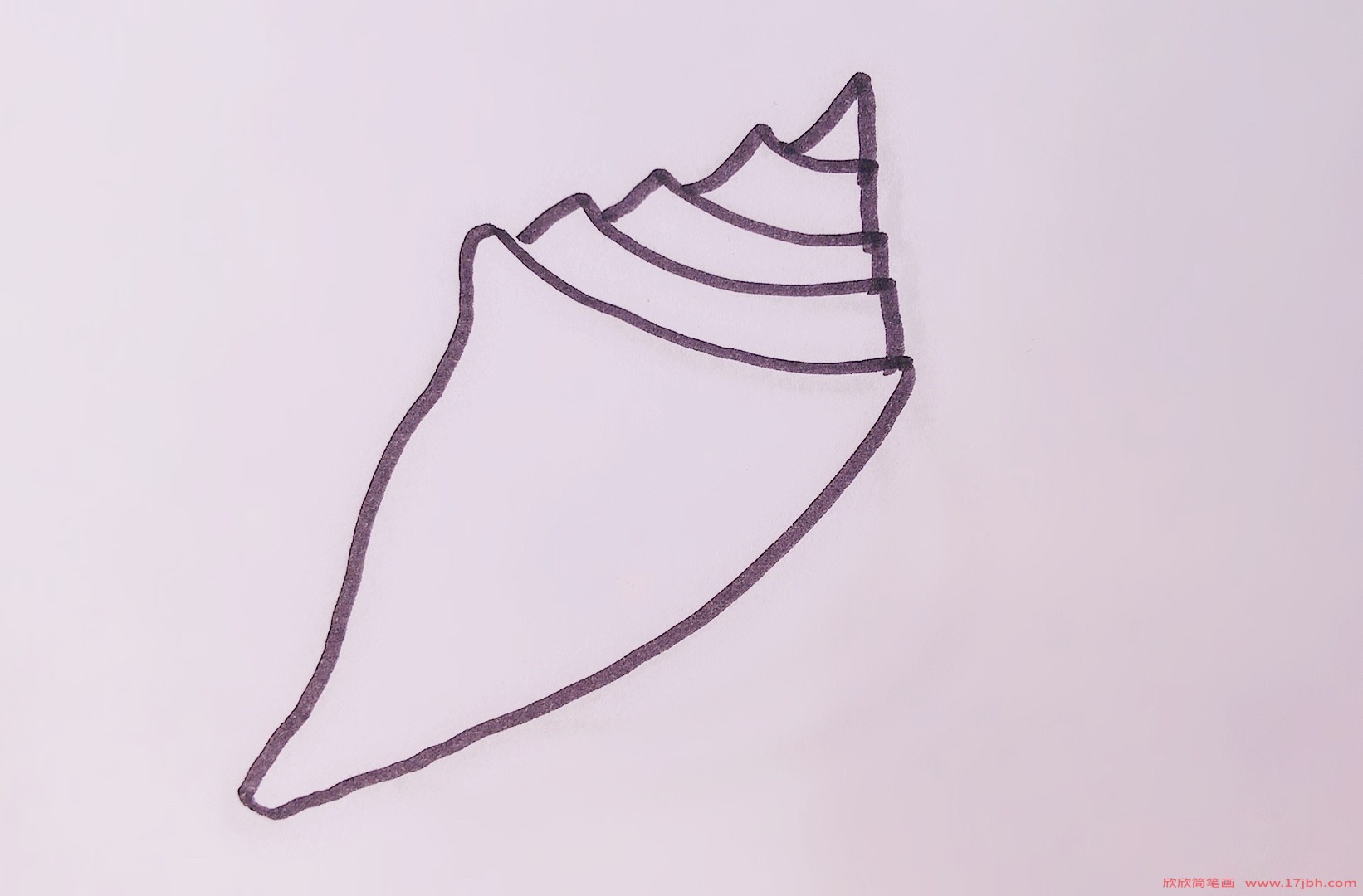 海螺的简笔画