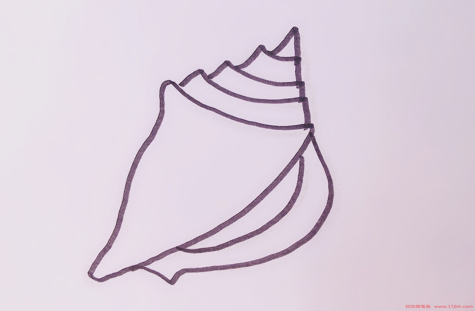 海螺的简笔画