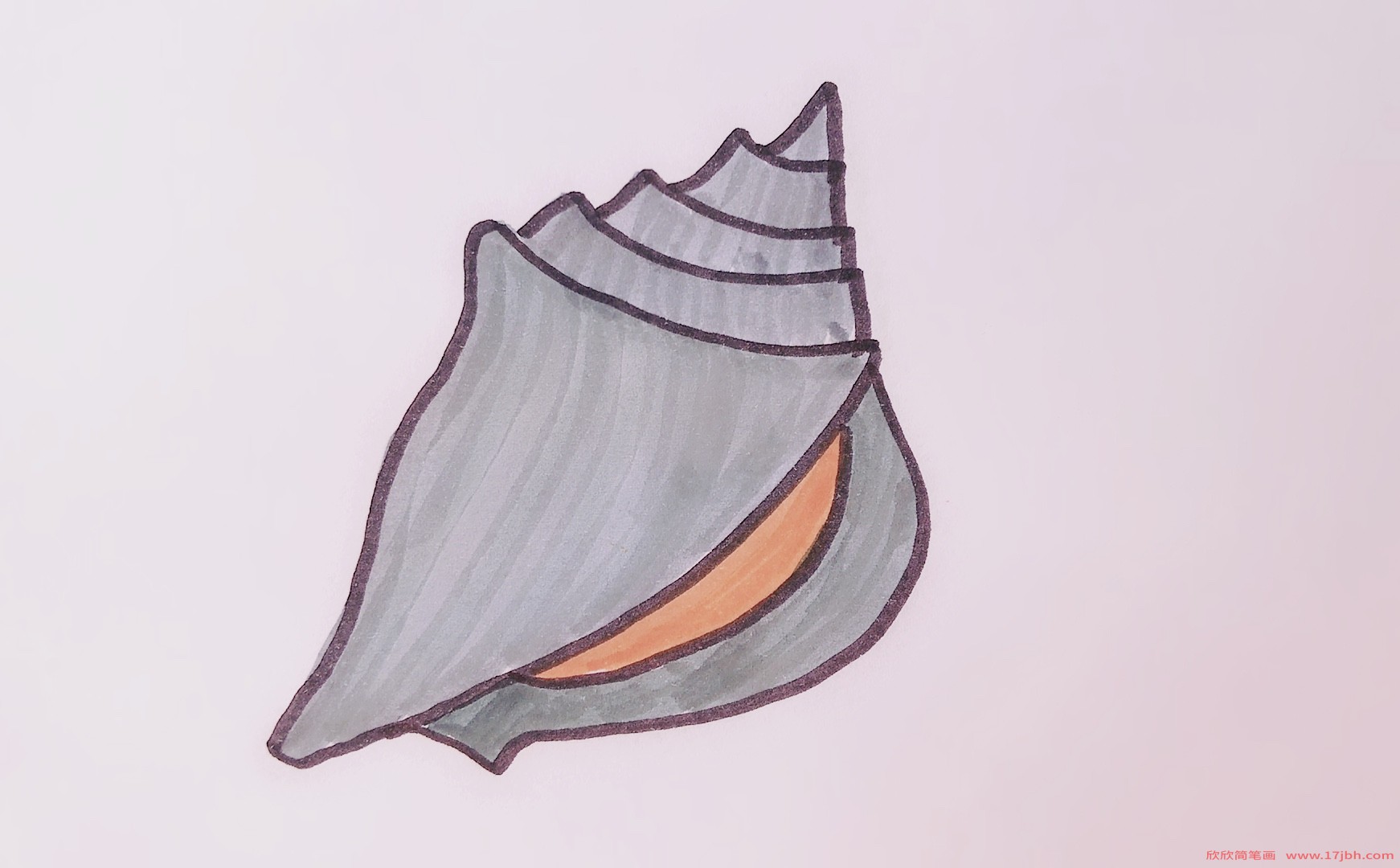 海螺的简笔画