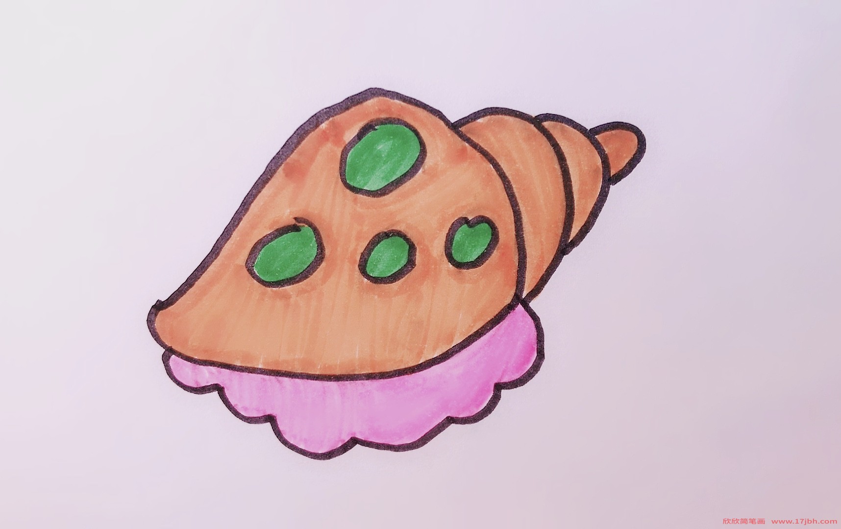 海螺简笔画带颜色