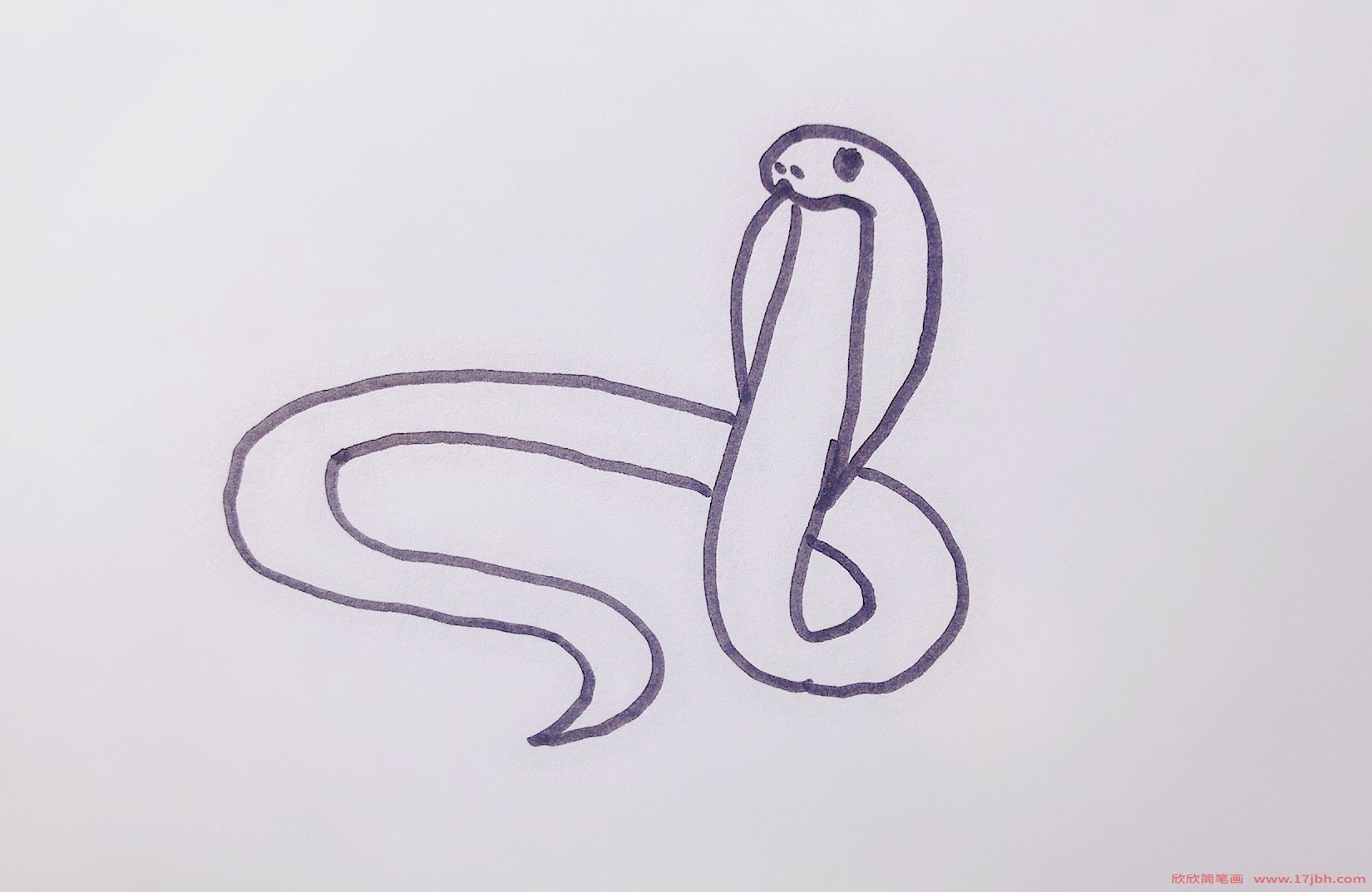 眼镜蛇简笔画眼镜蛇怎么画图片