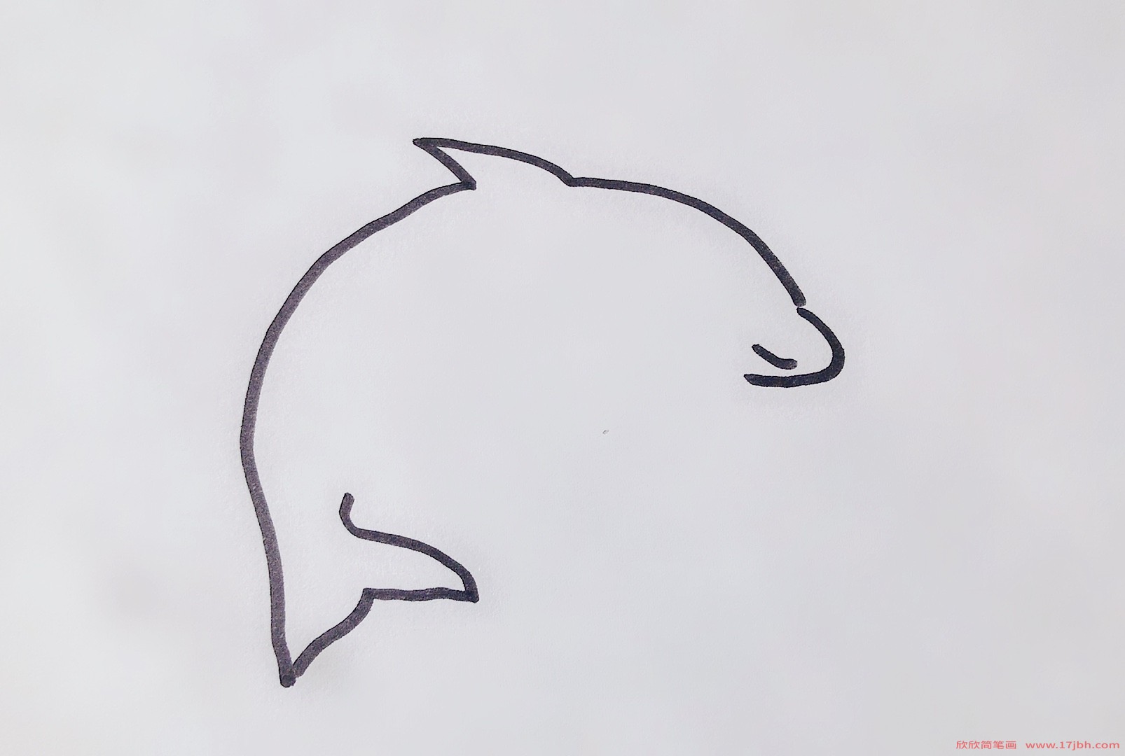 海豚的简笔画怎么画