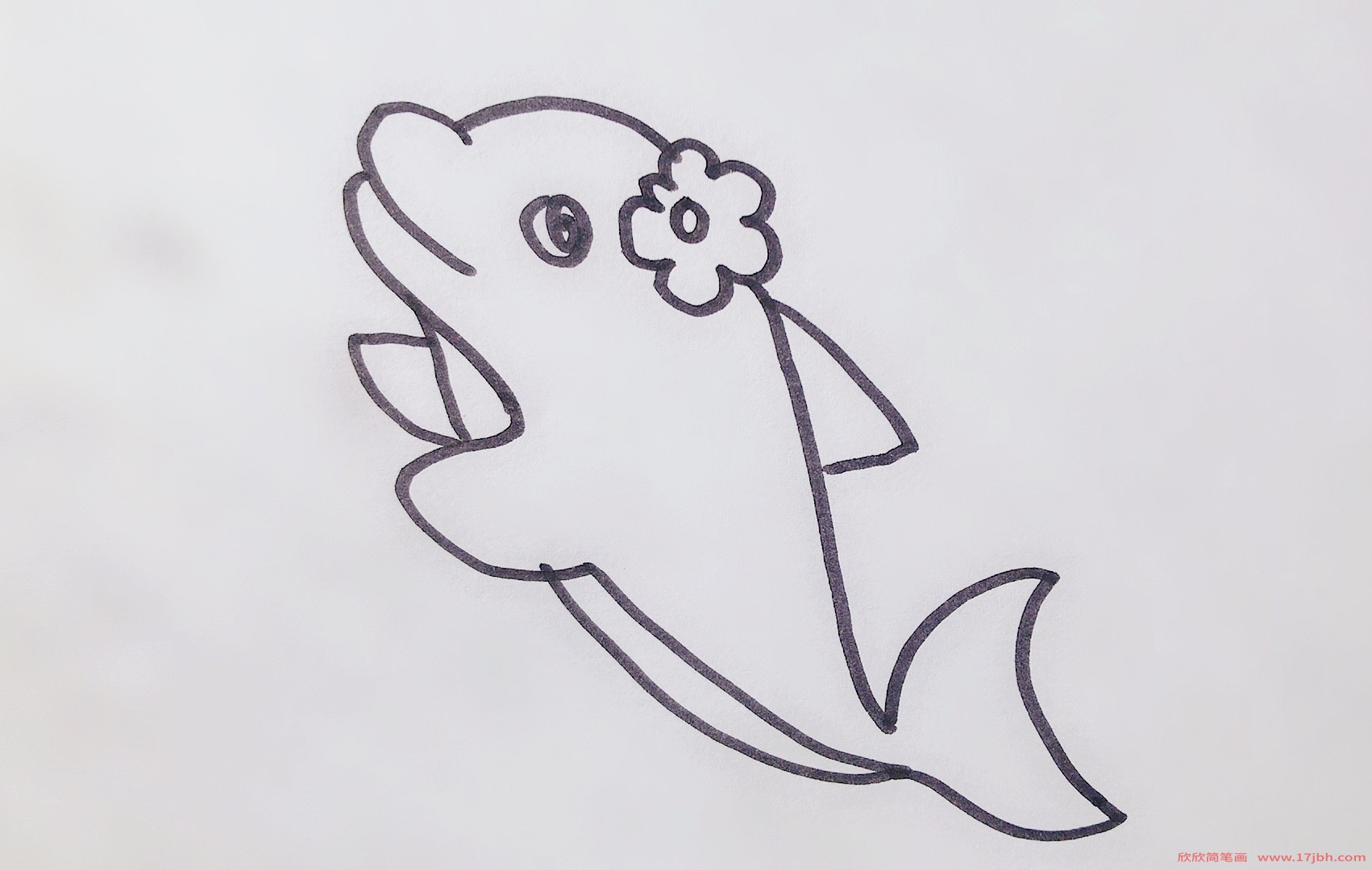海豚简笔画图片带颜色