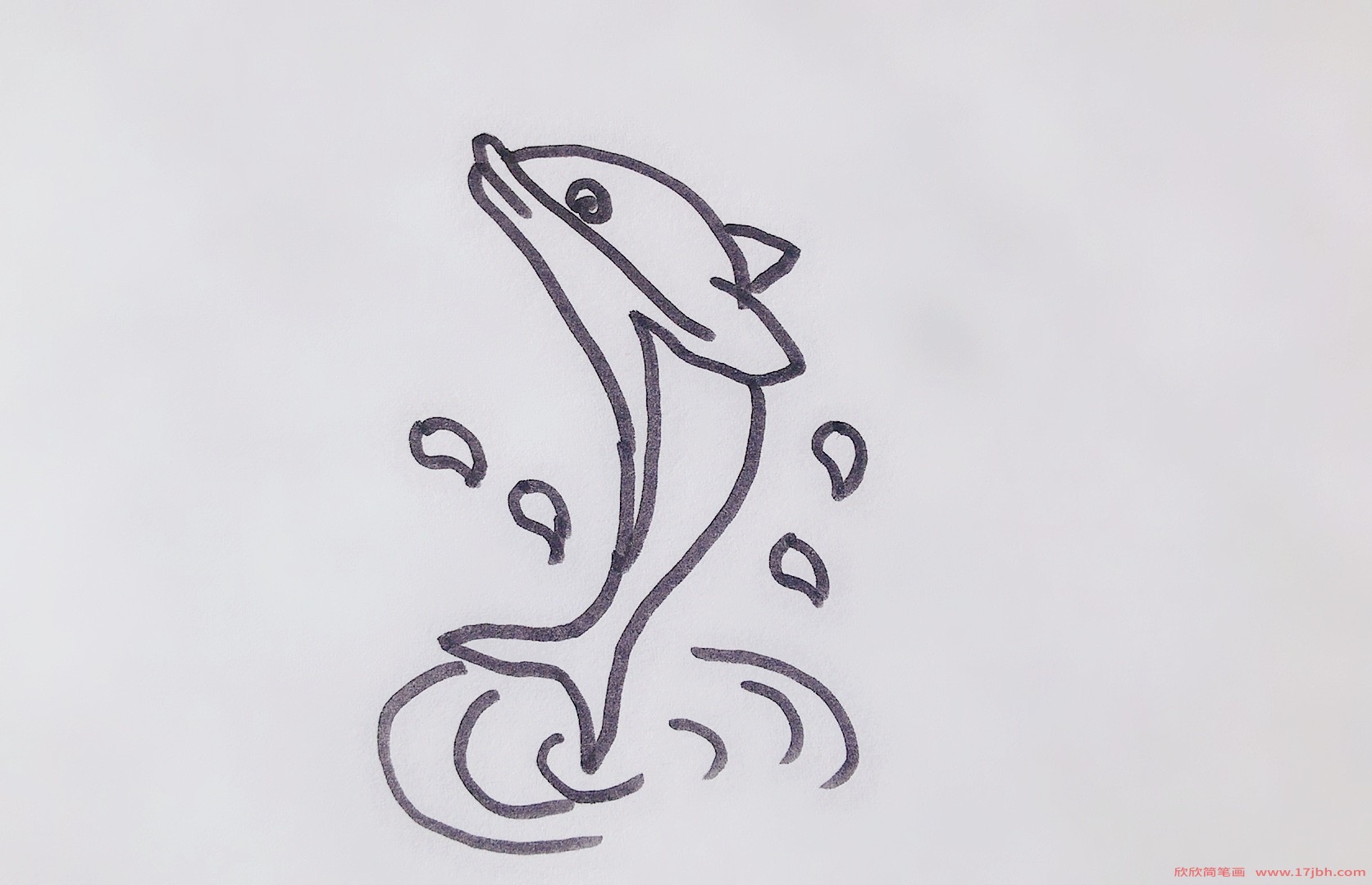 海豚的简笔画