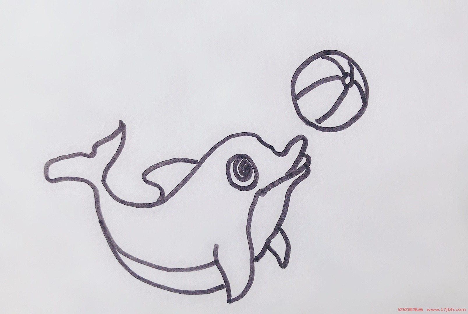 海豚怎么画简笔画儿童画