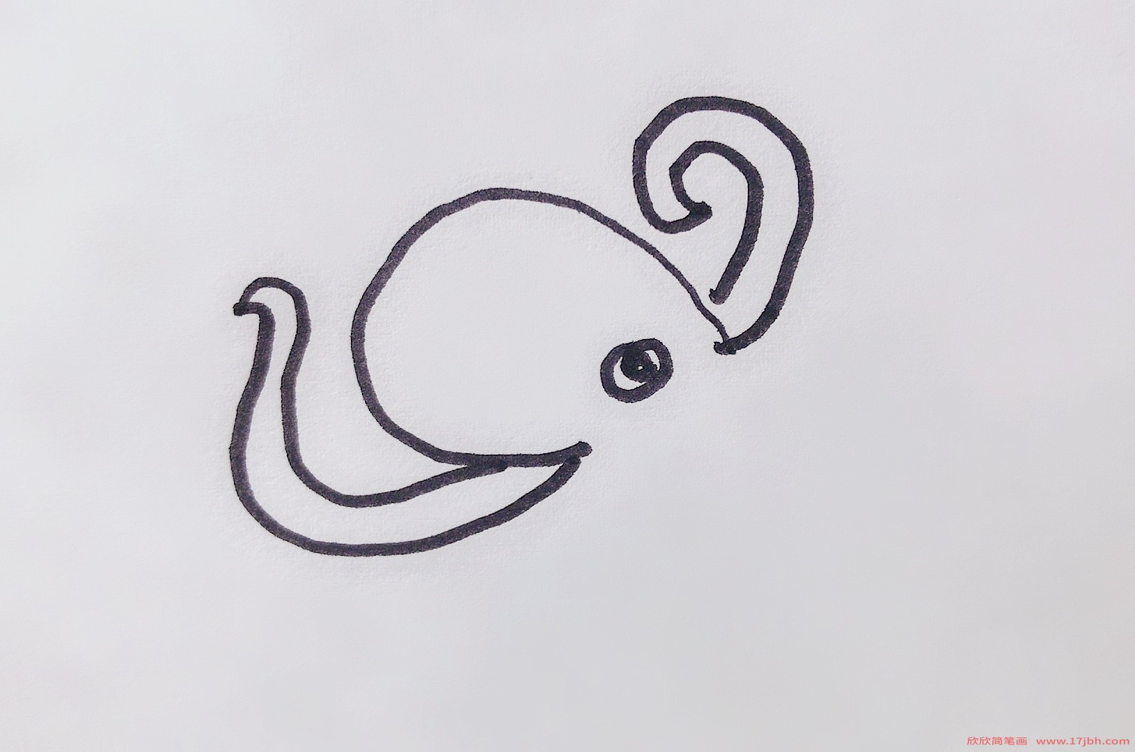 大章鱼简笔画