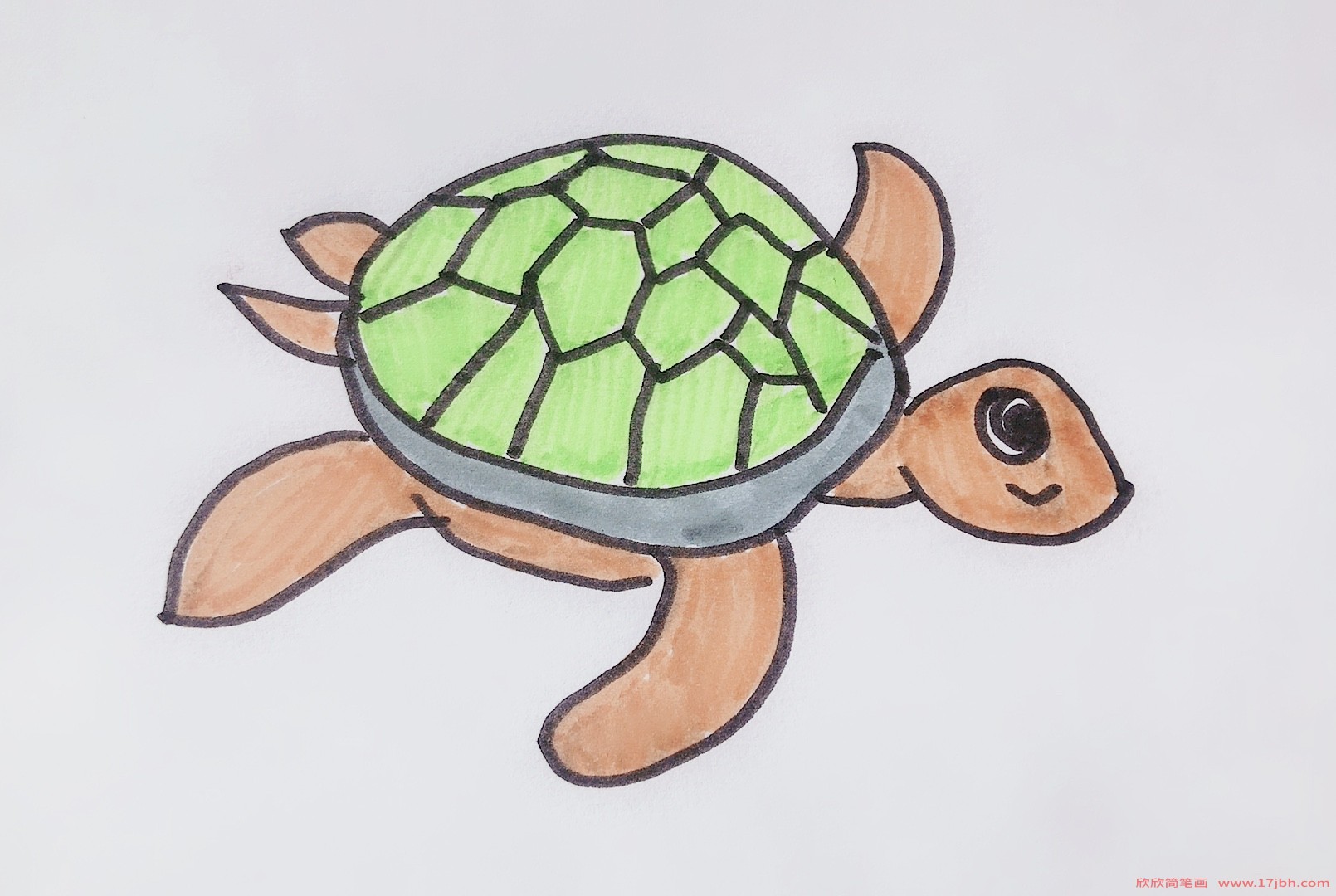 海龟简笔画带颜色