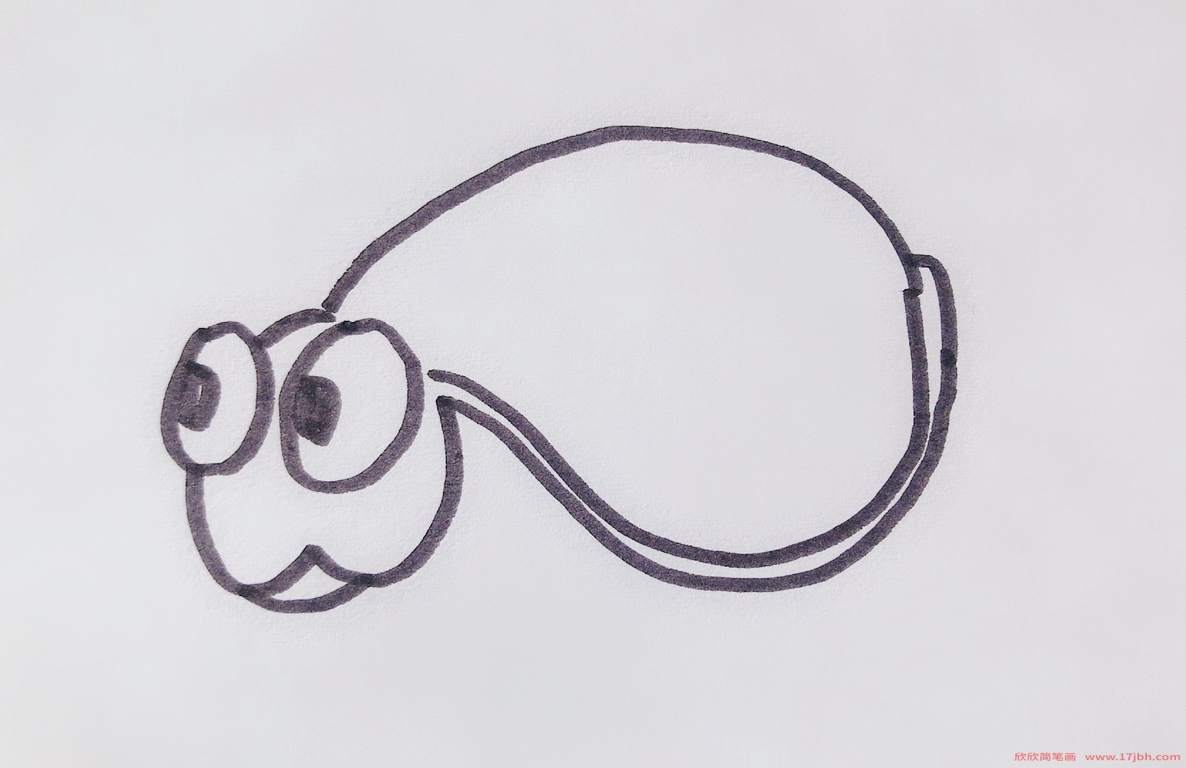 海龟的简笔画