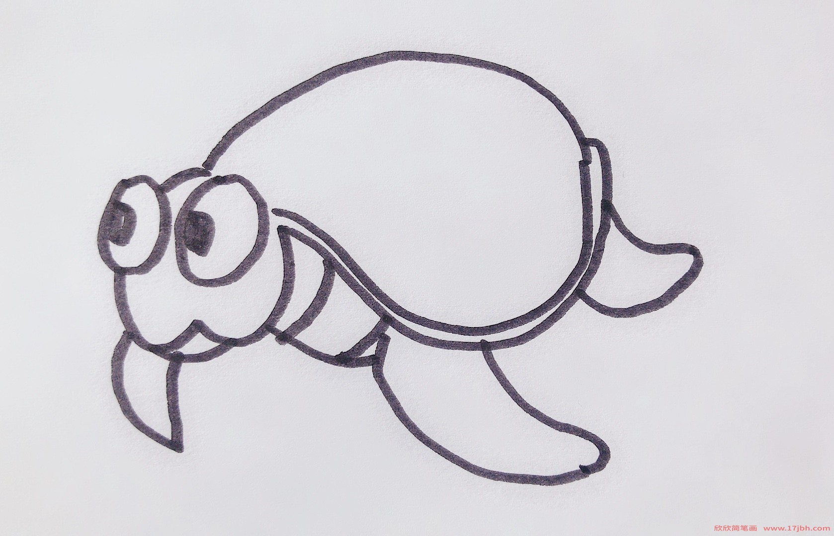 海龟的简笔画