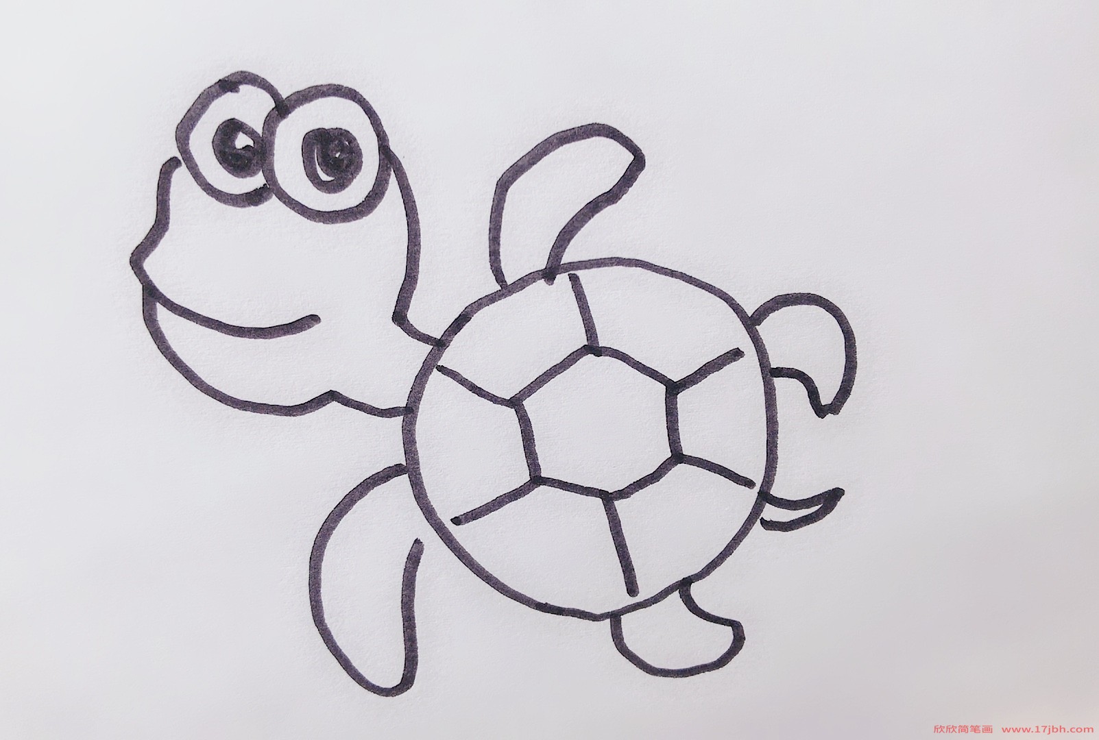 小海龟简笔画
