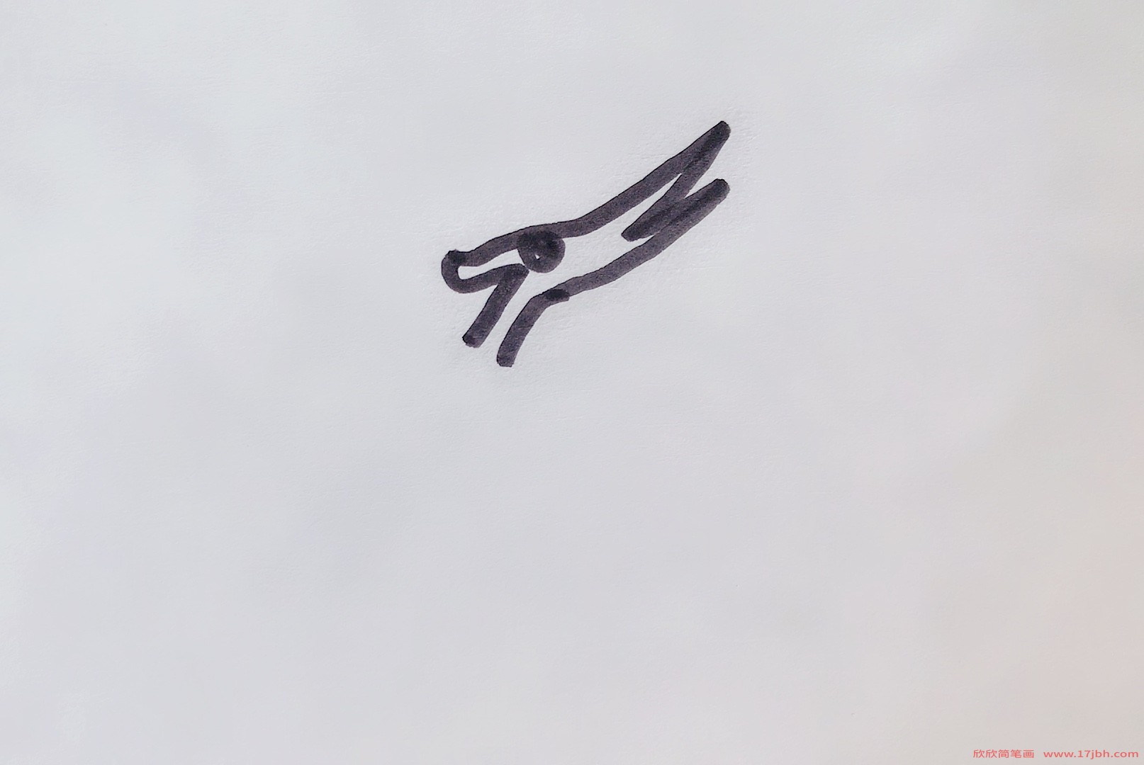风神翼龙简笔画