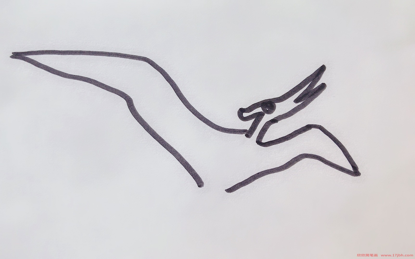 风神翼龙简笔画