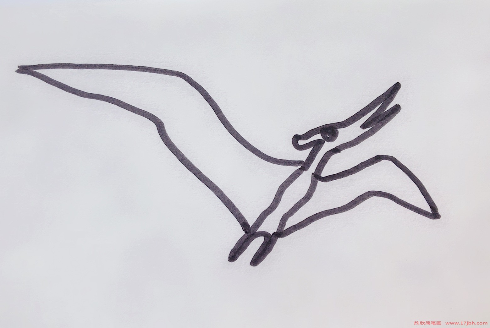 风神翼龙简笔画