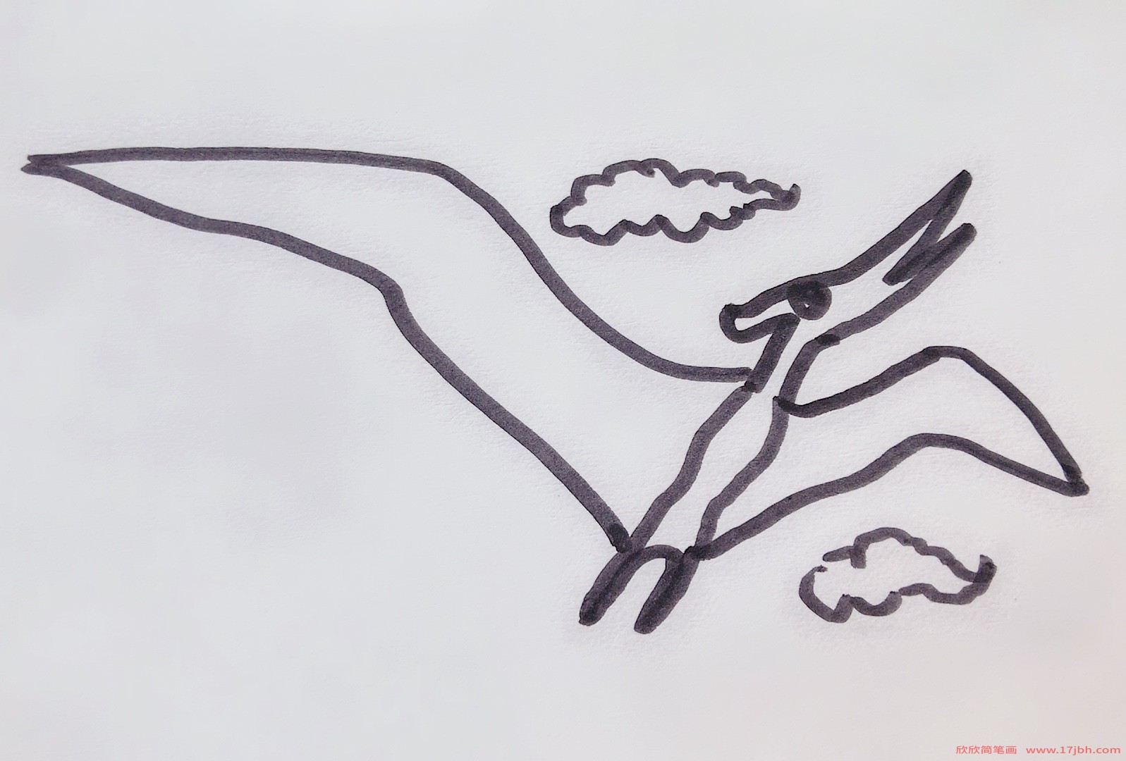 风神翼龙简笔画