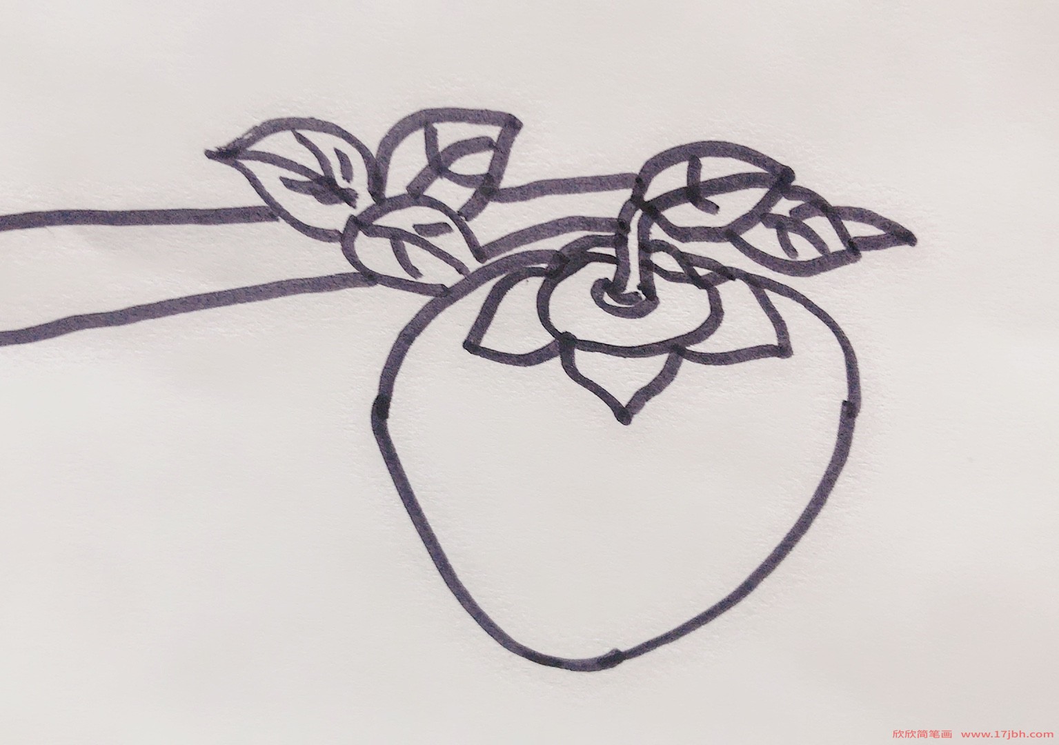 柿子的简笔画