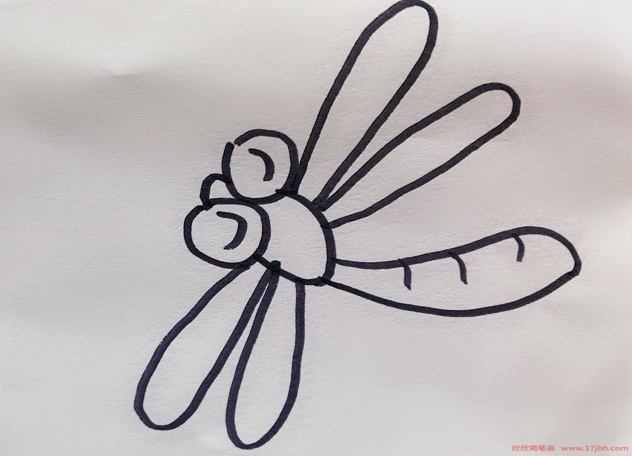 小蜻蜓简笔画
