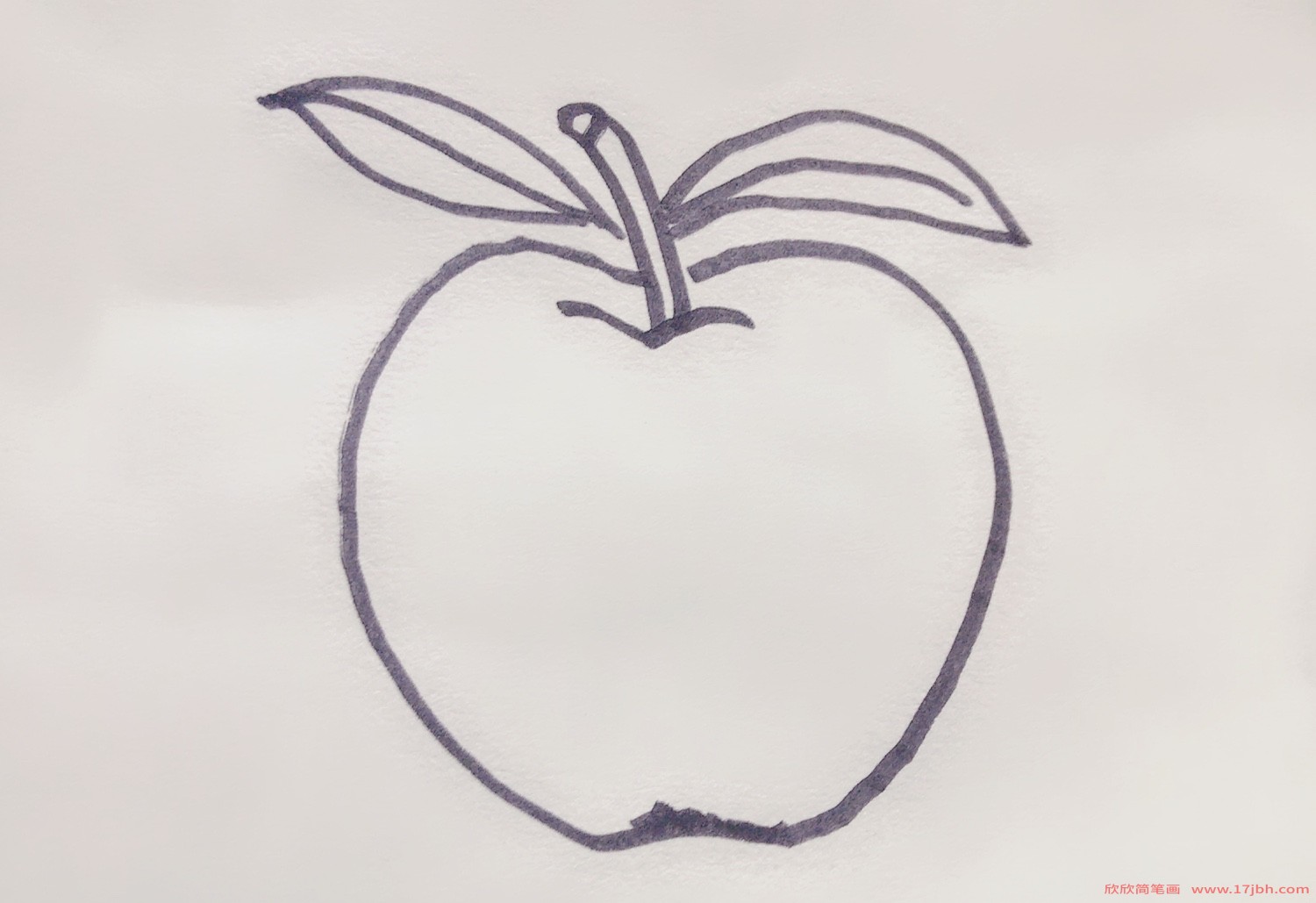 苹果的简笔画