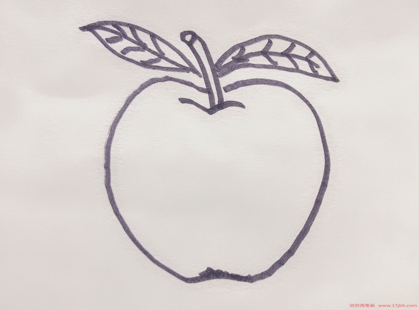 苹果的简笔画