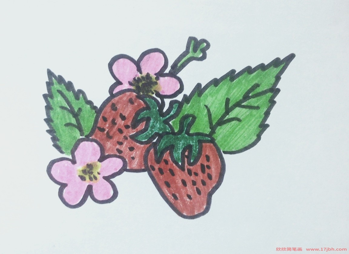 草莓的简笔画
