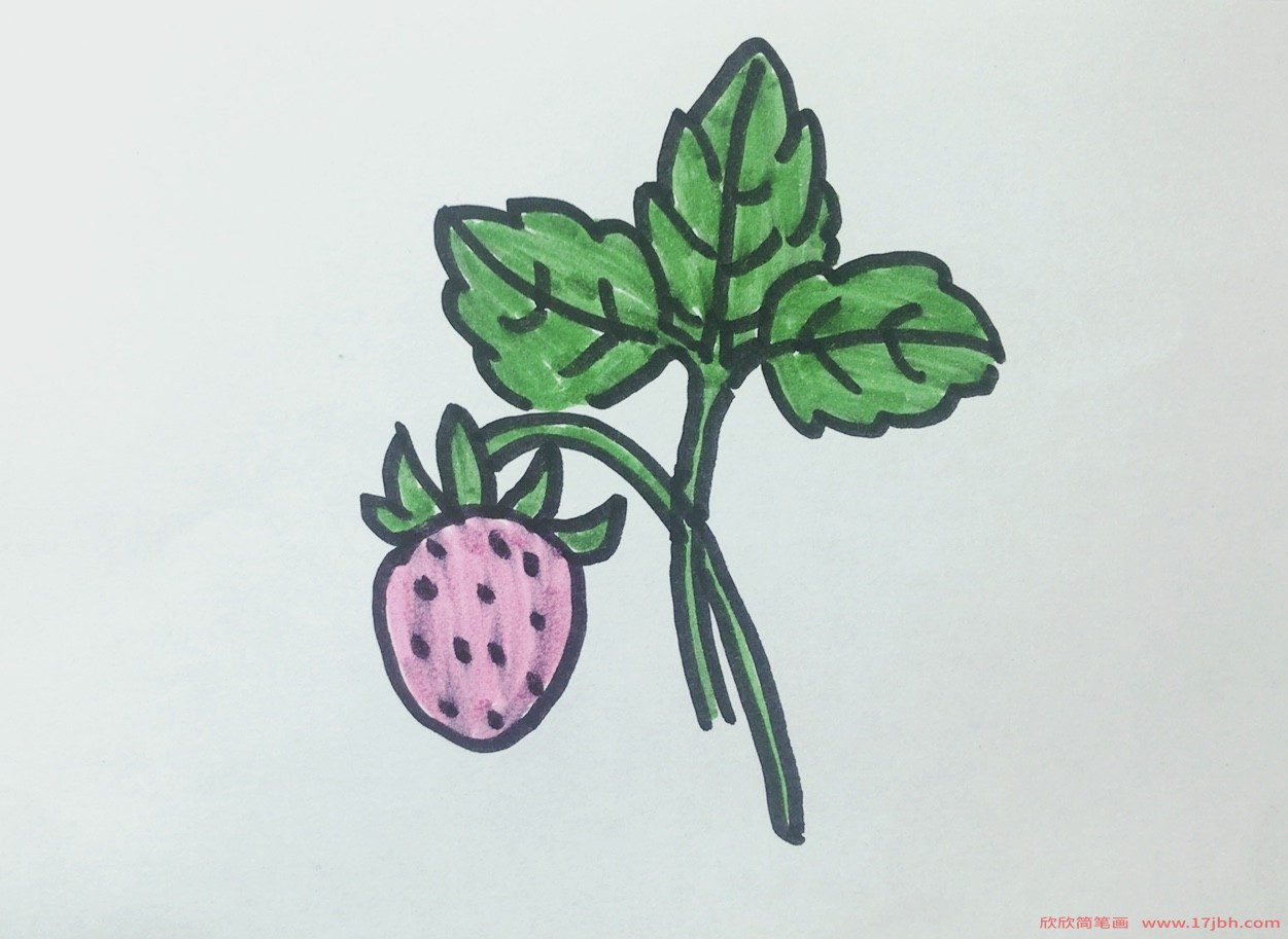 简笔画草莓