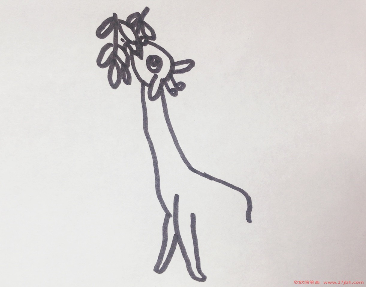 长颈鹿吃树叶简笔画