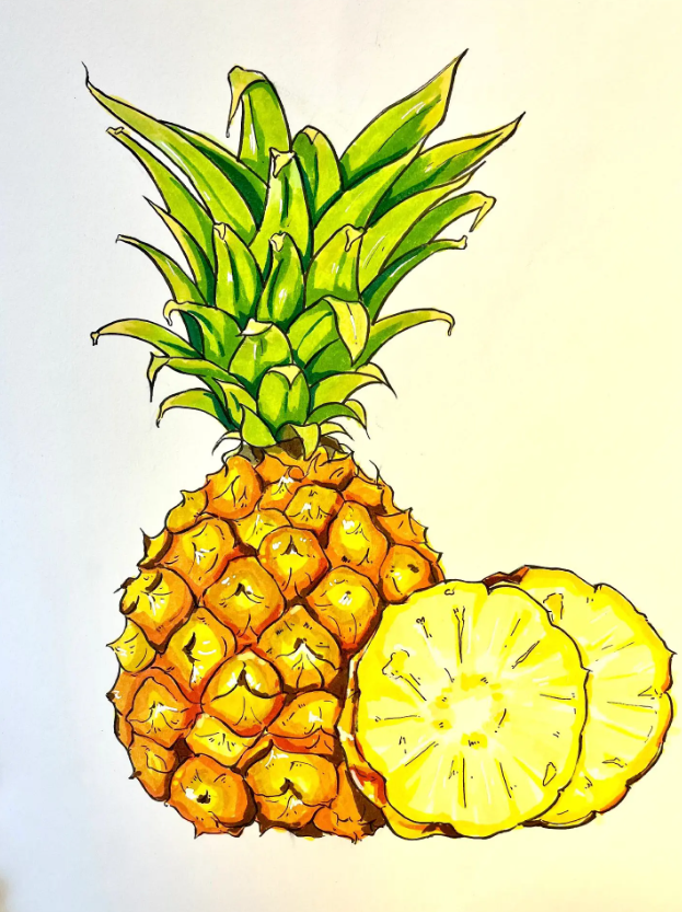 儿童绘画: 热带水果简笔画图片教程(菠萝)-图片7