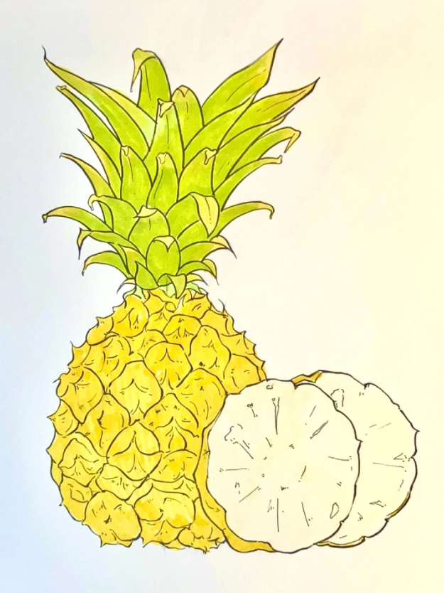 儿童绘画: 热带水果简笔画图片教程(菠萝)-图片5