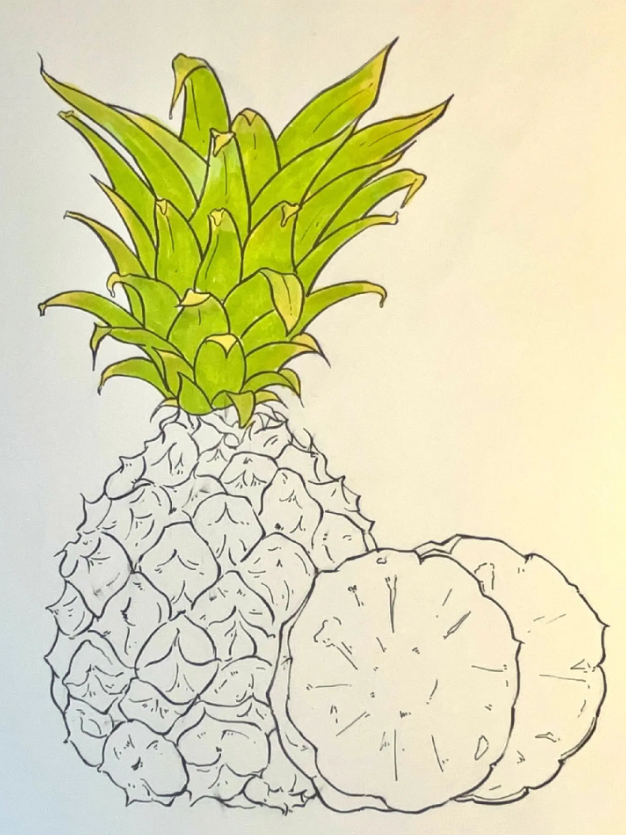 儿童绘画: 热带水果简笔画图片教程(菠萝)-图片4