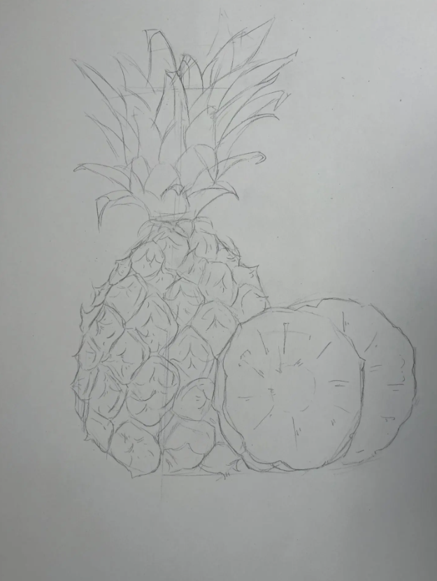 儿童绘画: 热带水果简笔画图片教程(菠萝)-图片2