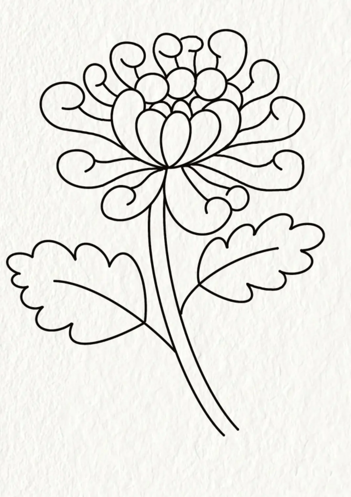 菊花简笔画简单又漂亮 怎样画菊花简单画法教程-图片3