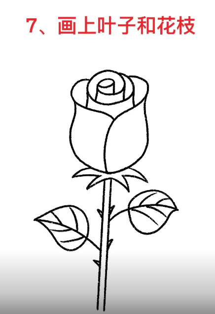 玫瑰花简笔画教程一步一步图解大全-图片4