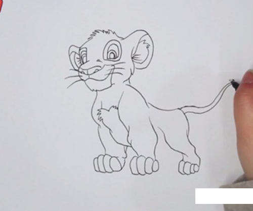 彩色辛巴狮子王简笔画教学带步骤 凶猛霸气狮子王简笔画怎么画