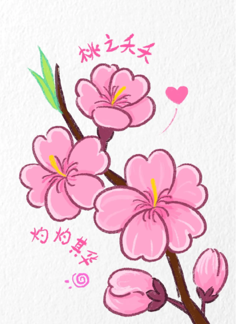 春天的植物简笔画桃花怎么画 一步一步教我画桃花-图片1